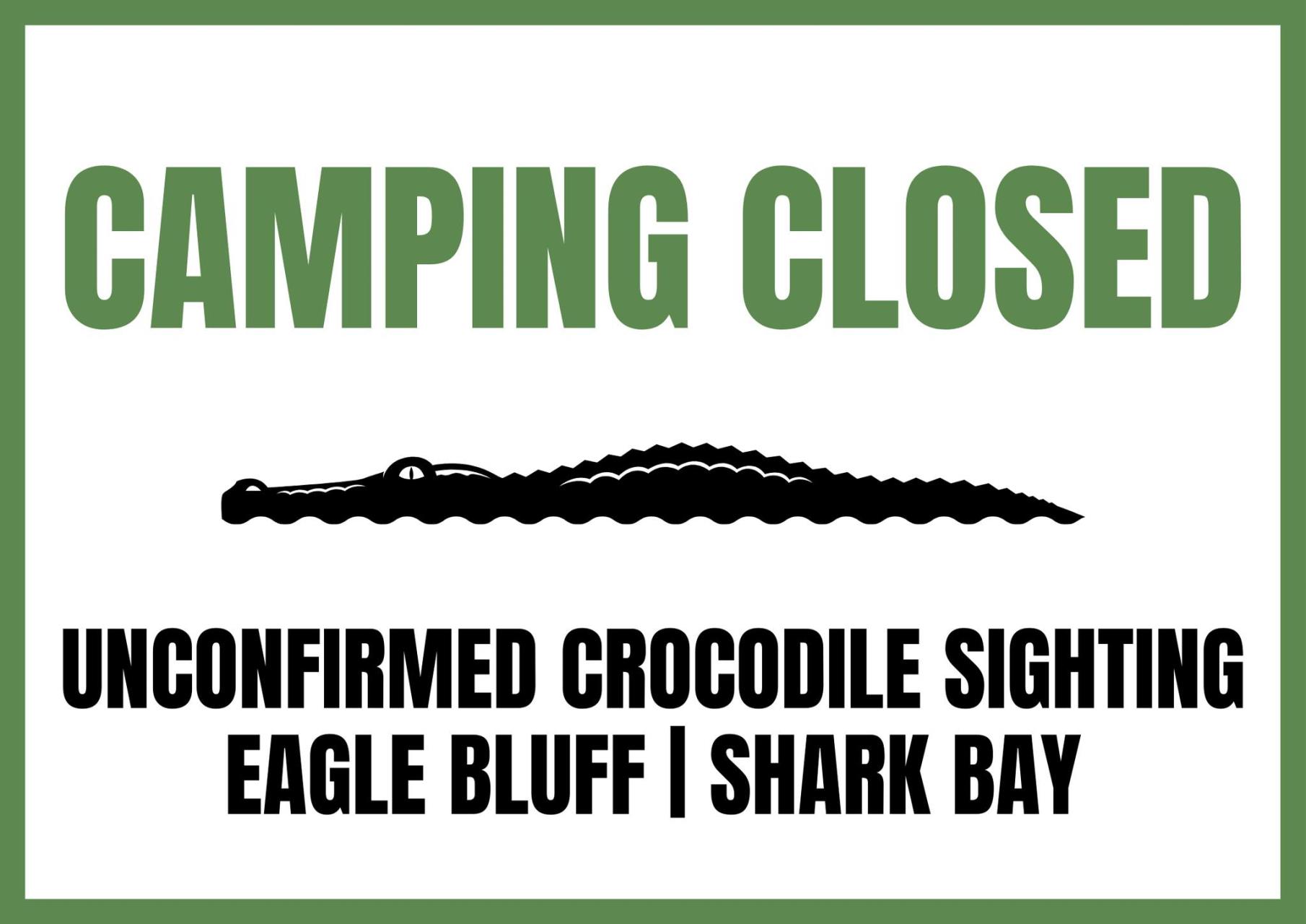 Unconfirmed Crocodile Sighting - Eagle Bluff, Shark Bay